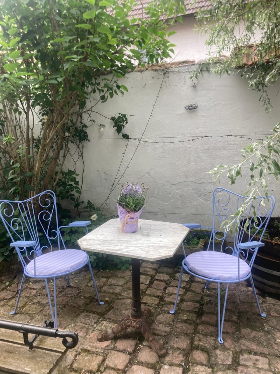 Patio, Seating area, Garden view