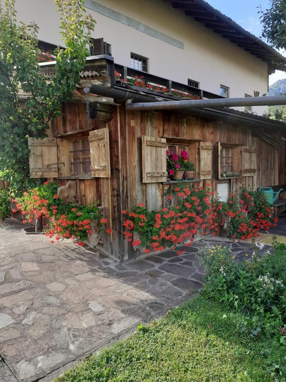 Maso Pinterato Apartment in Trentino-South Tyrol