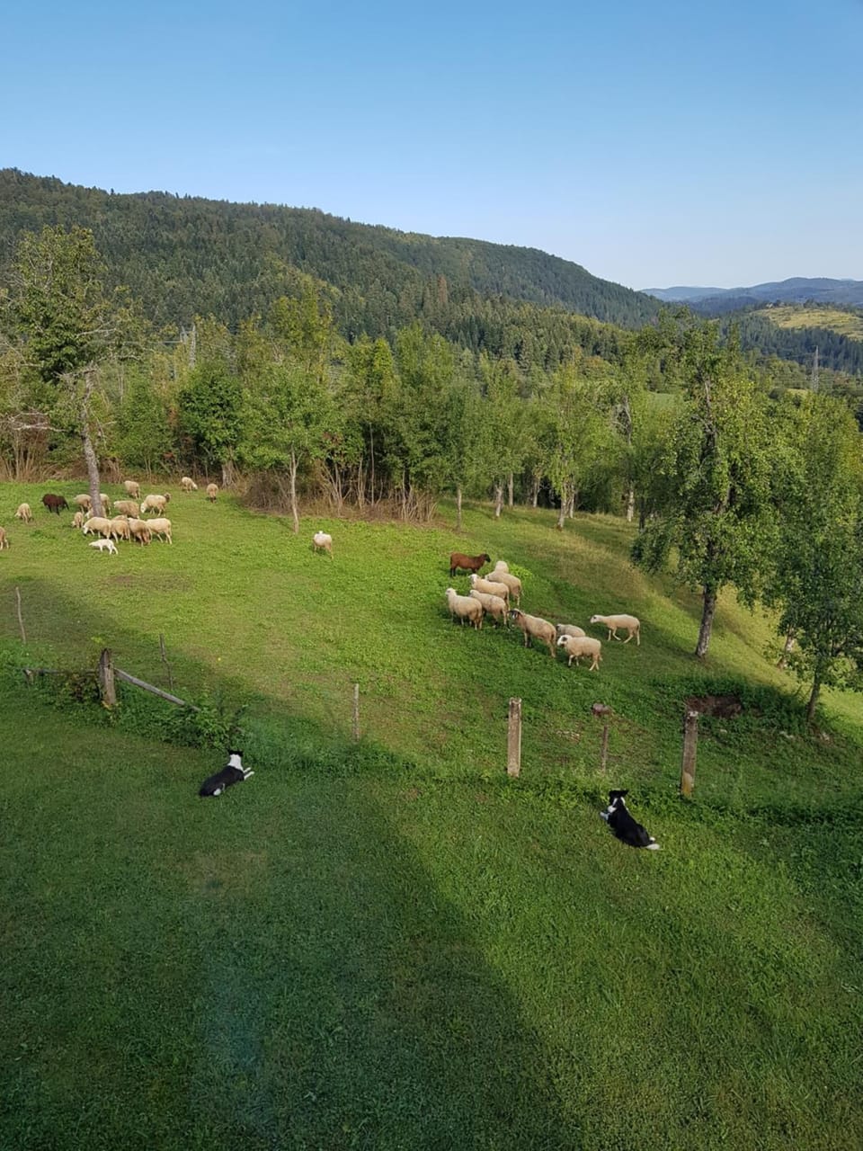 Garden, Garden view