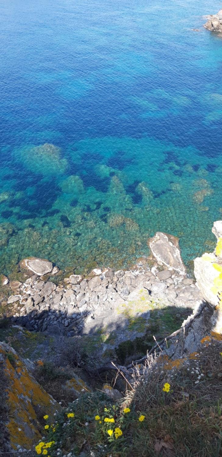 ELSA. Apartment in La Ciotat