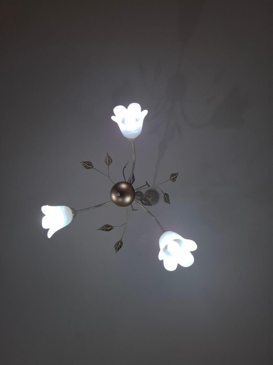 LOCAZIONE TURISTICA Sansevero Venice Bed and Breakfast in Venice