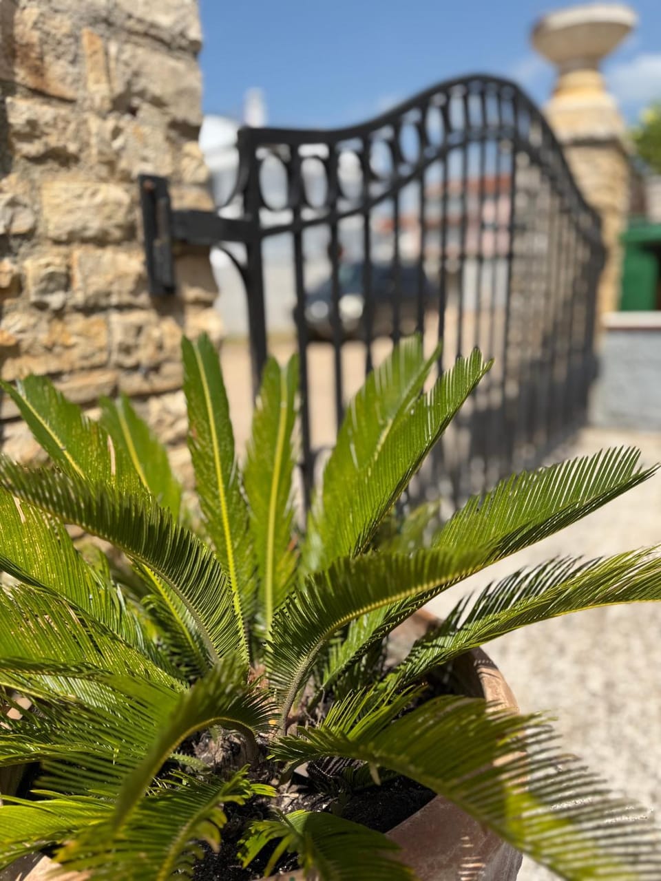 Patio