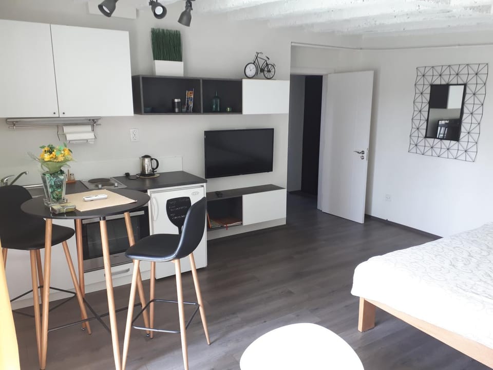 City centre penthouse Apartment in Belgrade