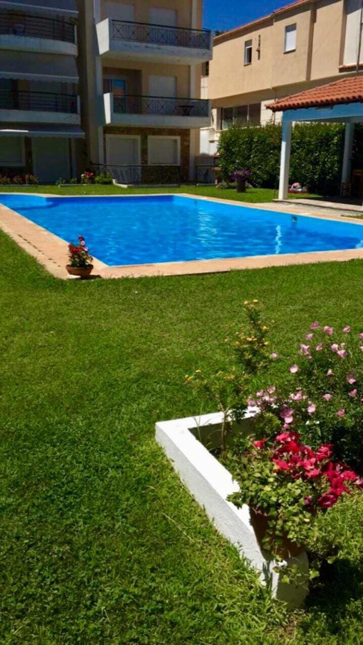 Day, Garden, Garden, Garden view, Pool view, Swimming pool, Swimming pool