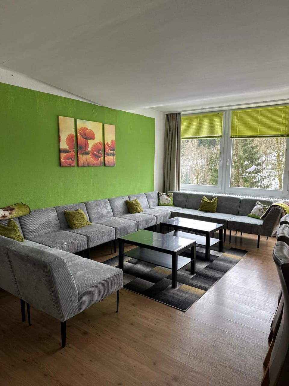 Communal lounge/ TV room, Living room