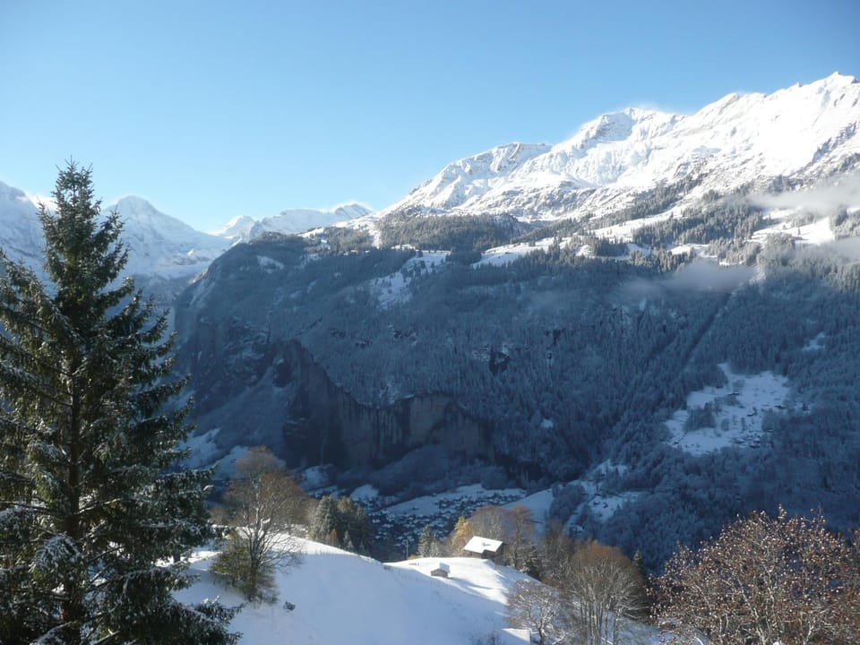 Natural landscape