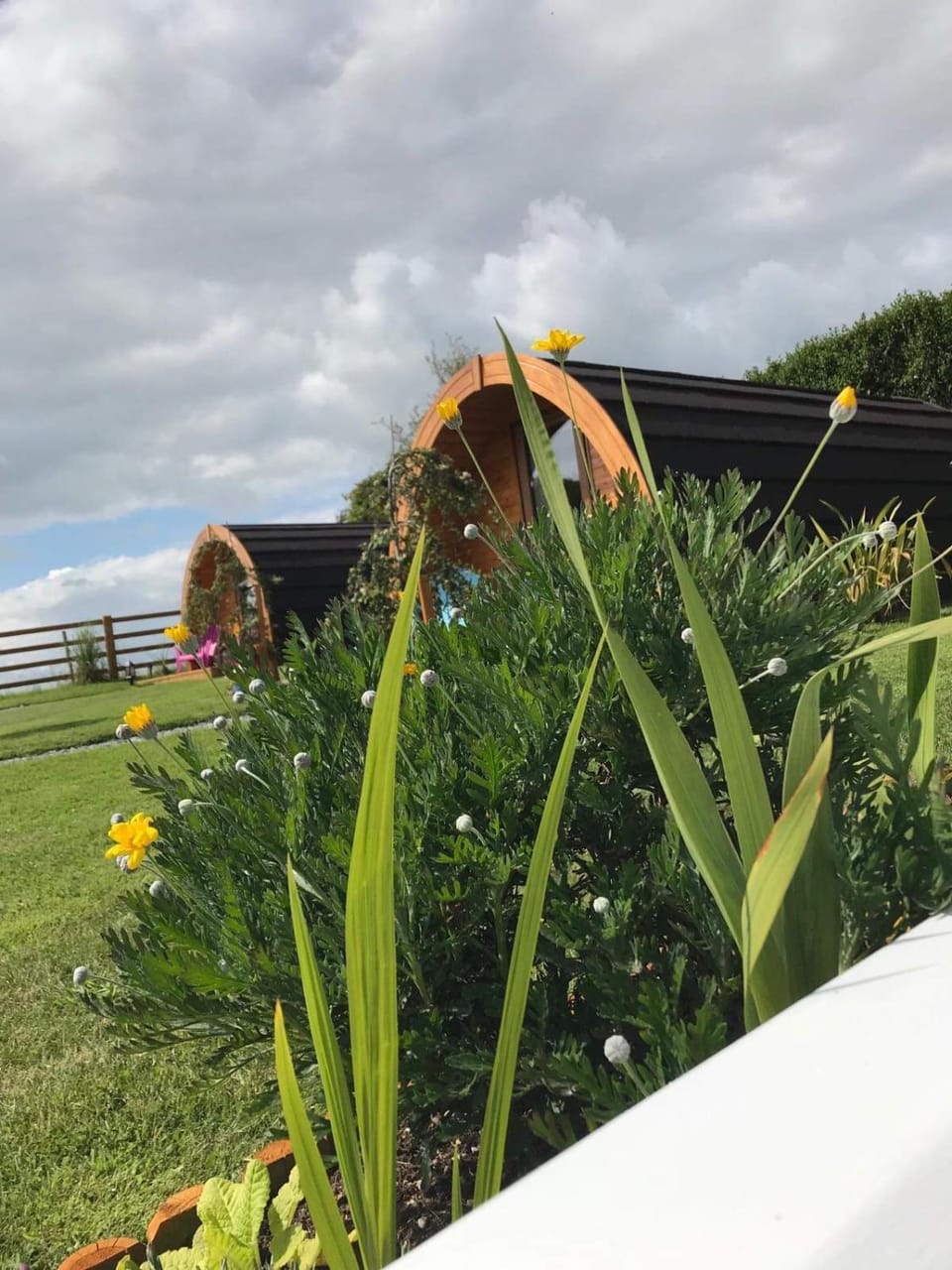 Clonakilty Accommodation Nature lodge in County Cork