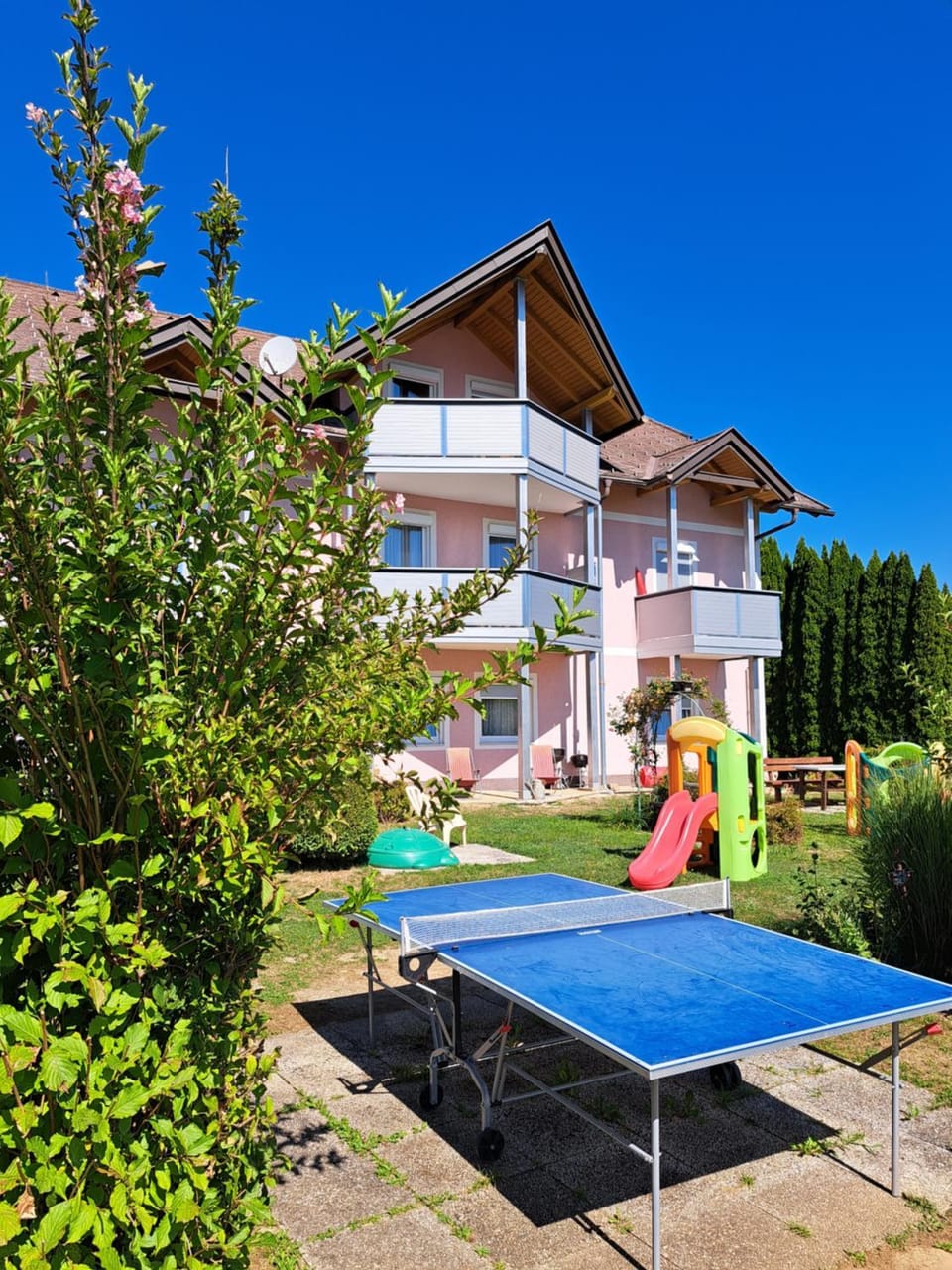Activities, Table tennis