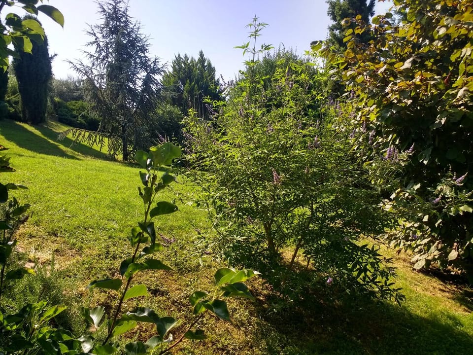Garden, Garden view