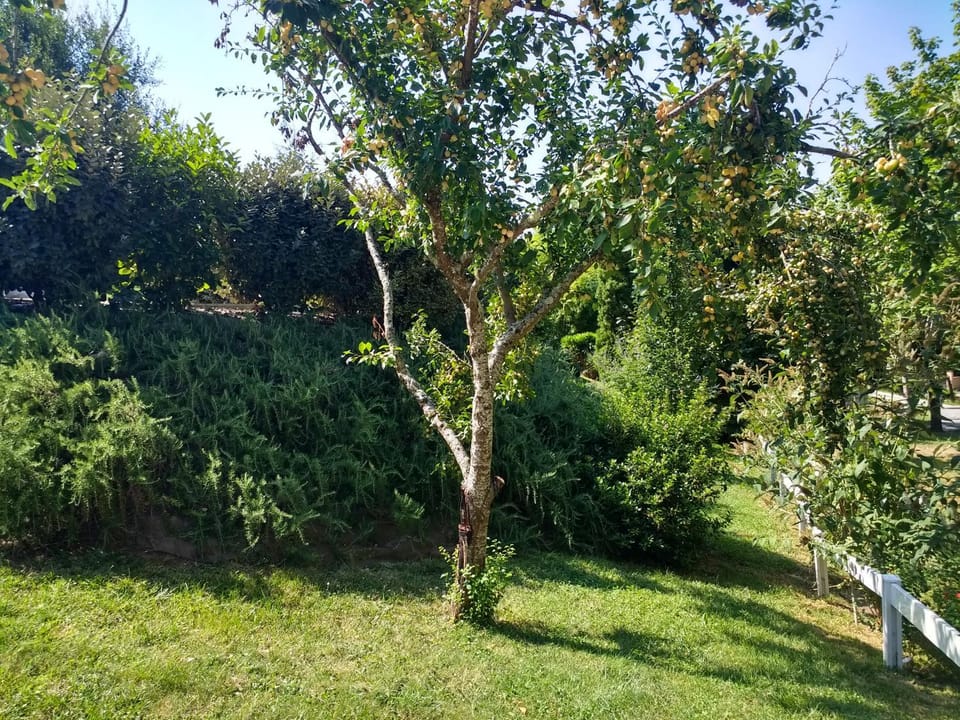 Garden, Garden view