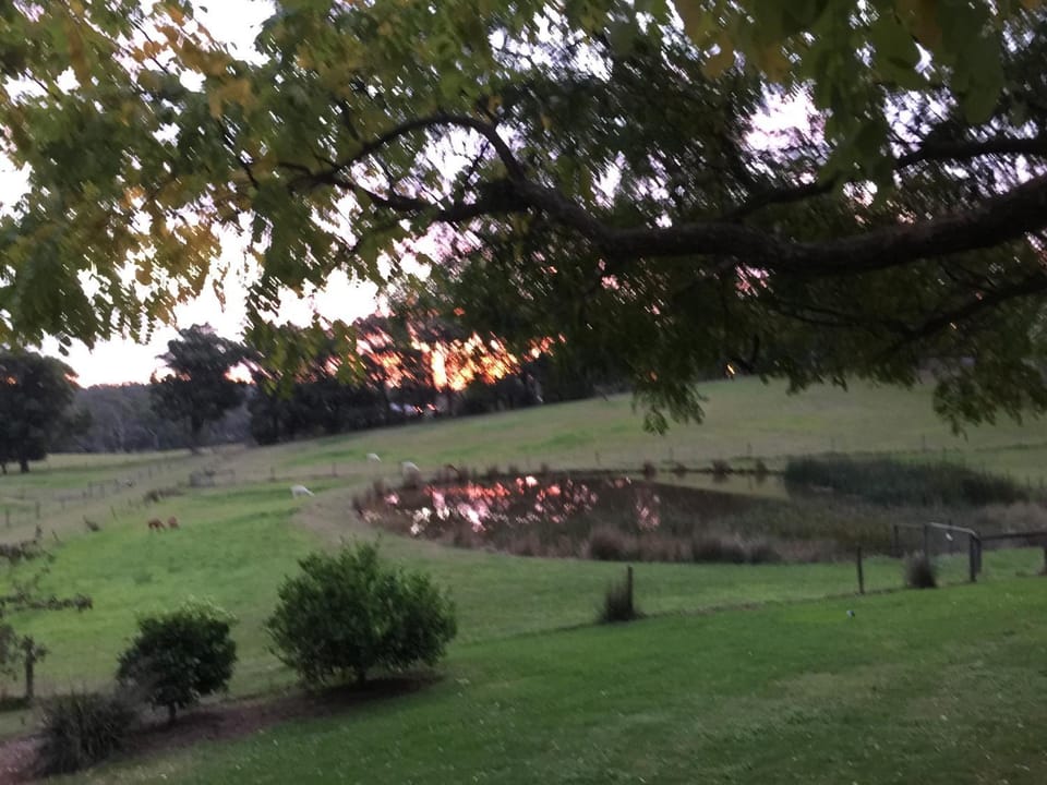 Raynella Alpaca Farmstay Farm Stay in Melbourne