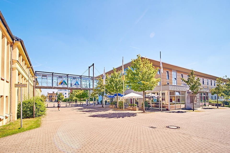 Property building, Day