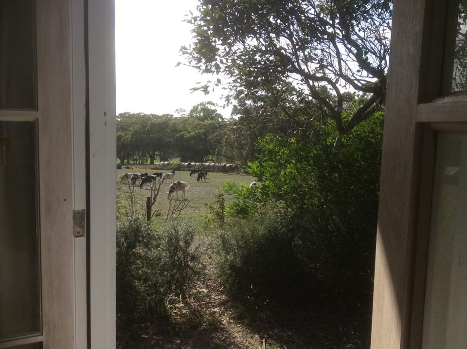 Garden view
