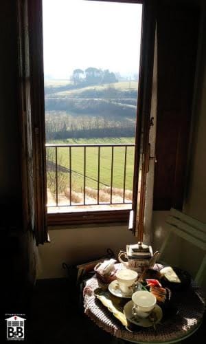 Photo of the whole room, Decorative detail, Garden view