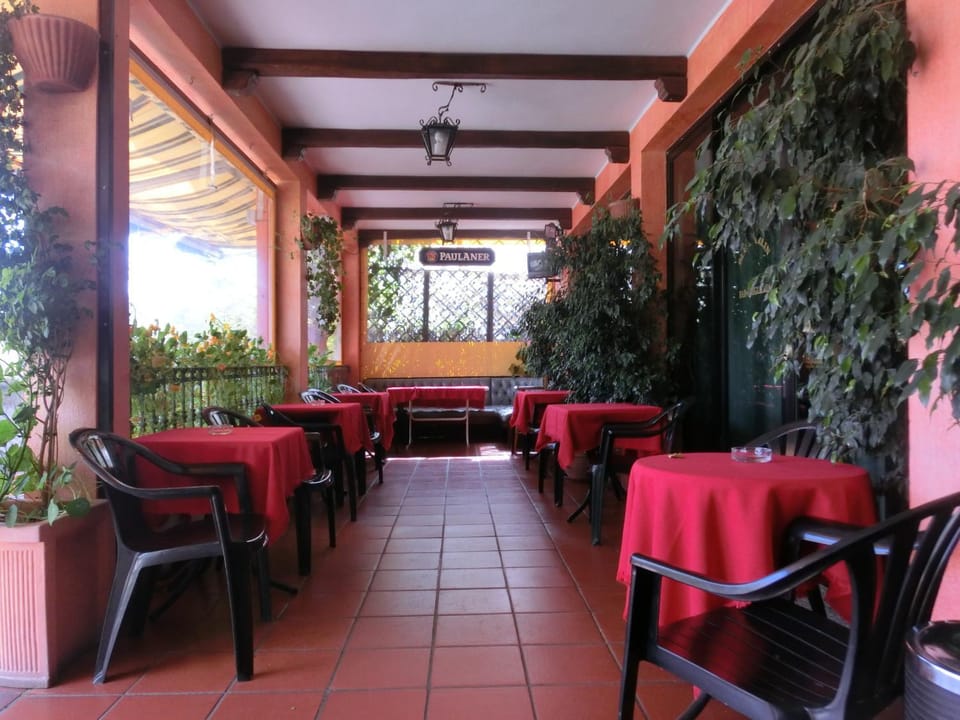 Day, Lounge or bar