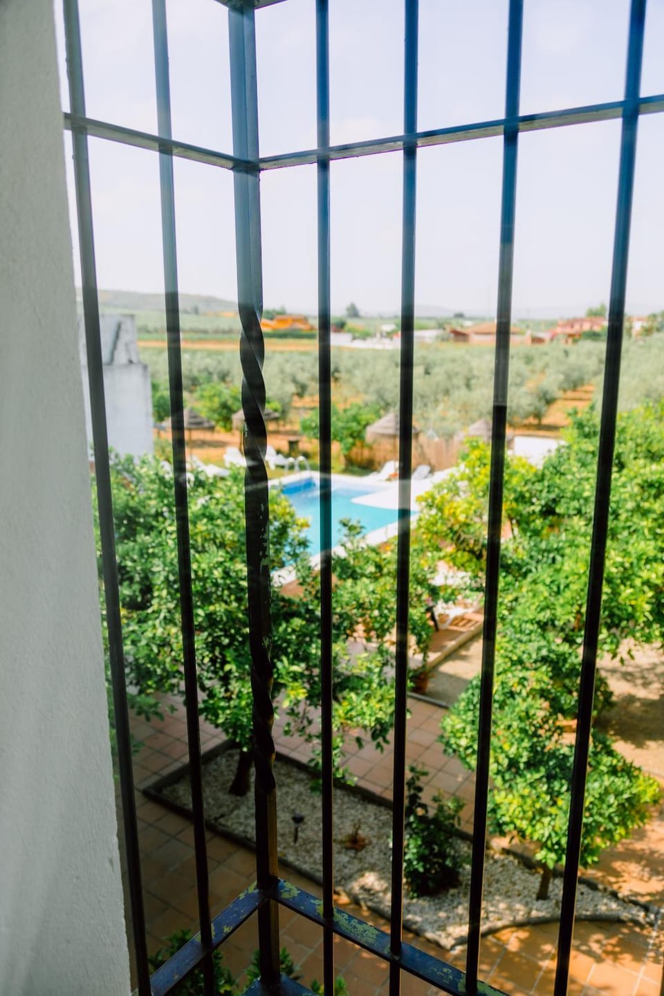 Garden view