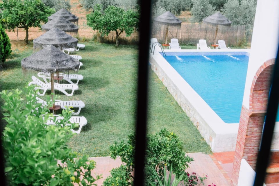 Garden, Garden view, Pool view, sunbed