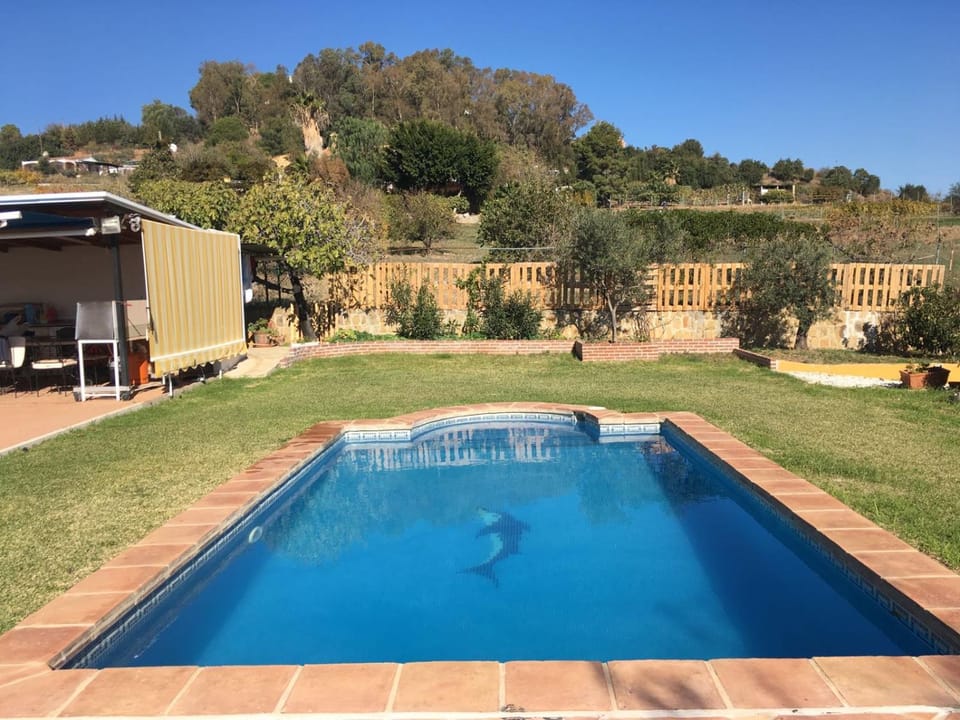 Garden, Swimming pool