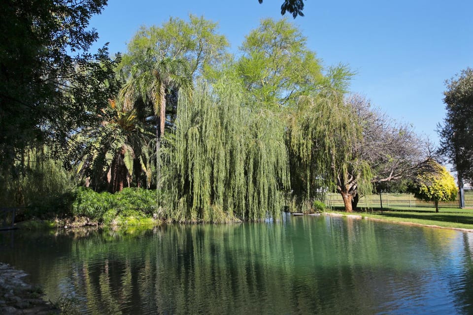 Day, Natural landscape, Garden