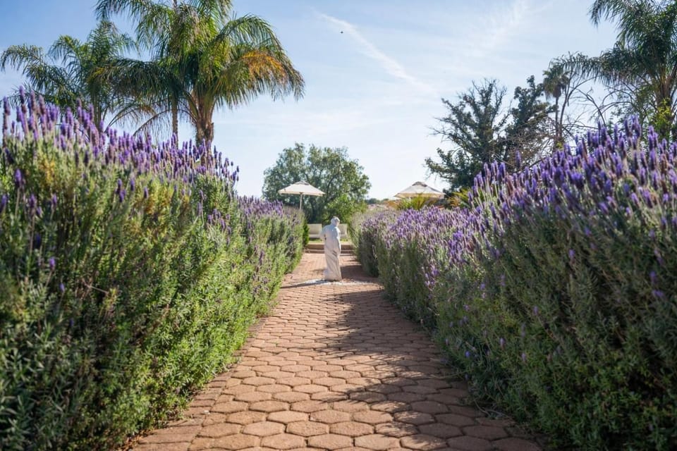 Natural landscape, Garden