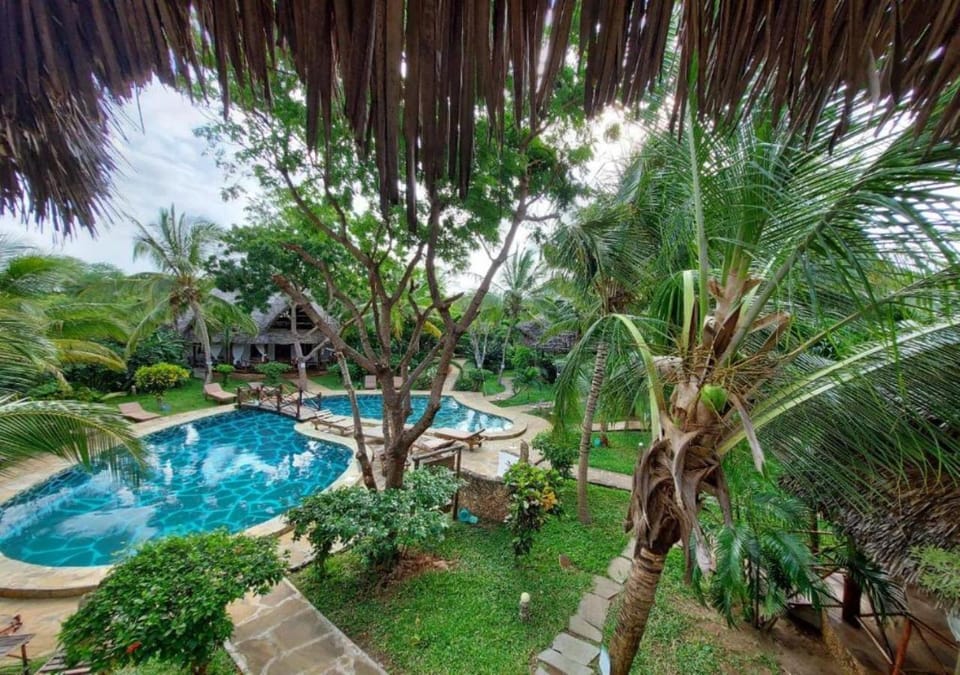 Garden, Pool view, Swimming pool