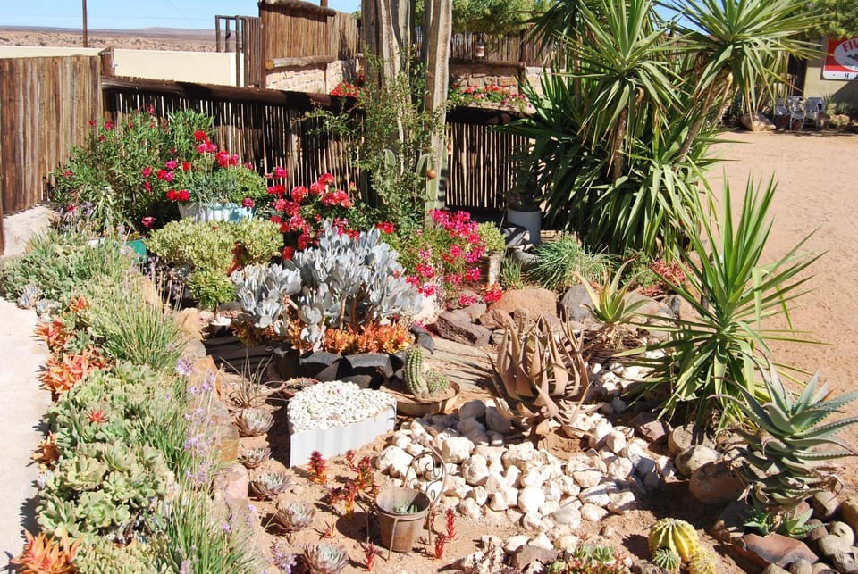 Garden, Decorative detail, Garden view