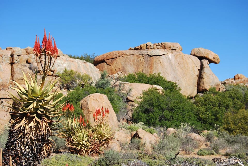 Nearby landmark, Natural landscape, Hiking