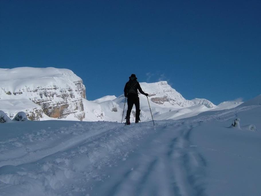 Timfea Chalet Bed and Breakfast in North Macedonia