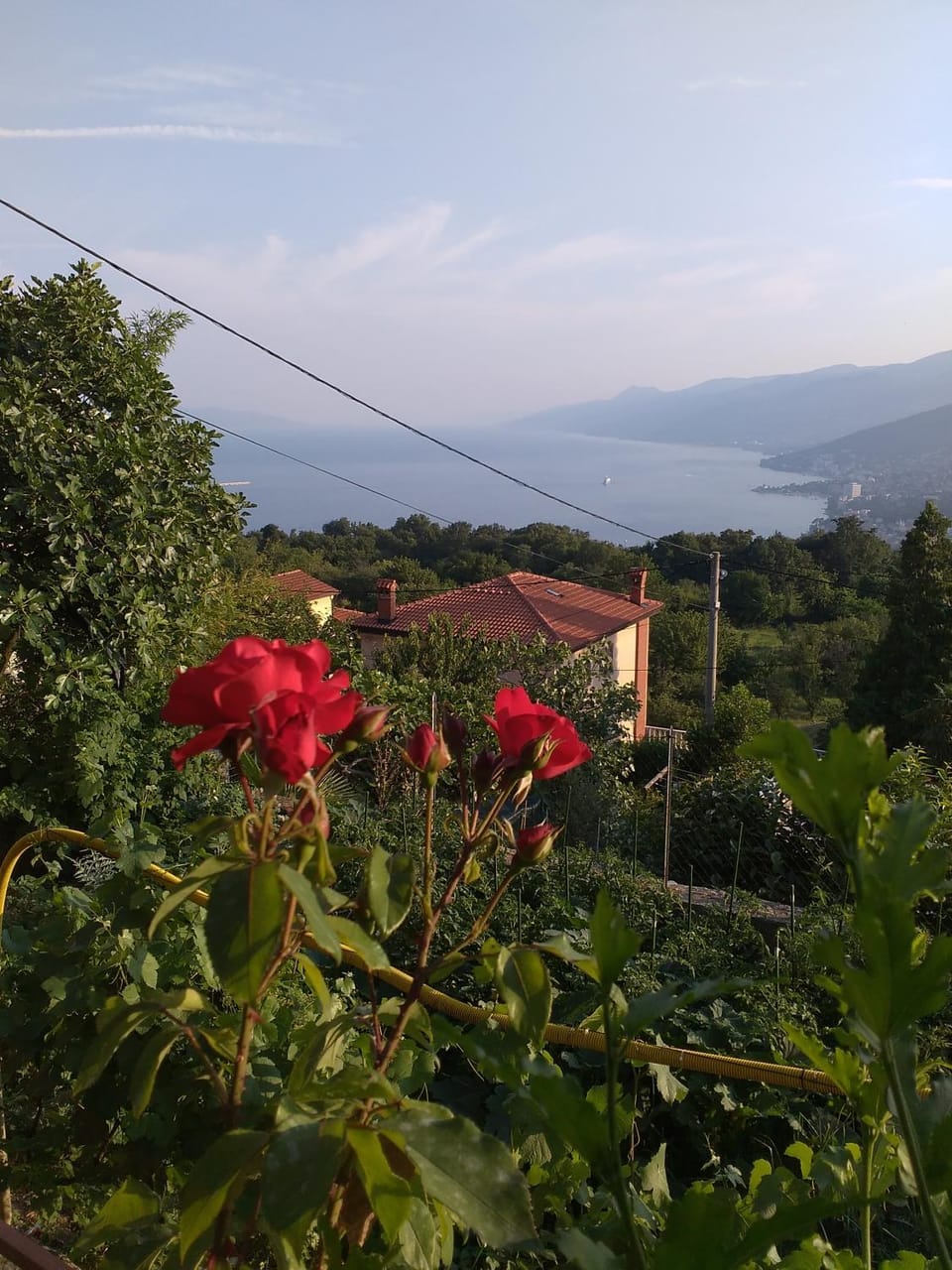 Spring, Sea view
