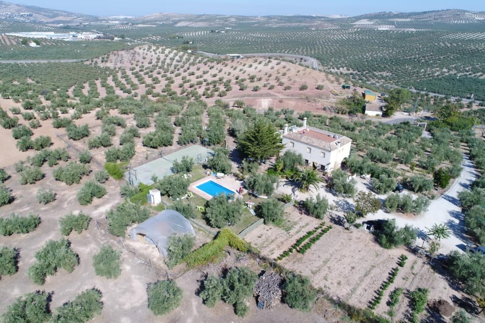 Property building, Bird's eye view