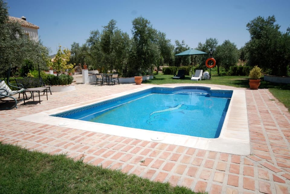 Swimming pool, Swimming pool