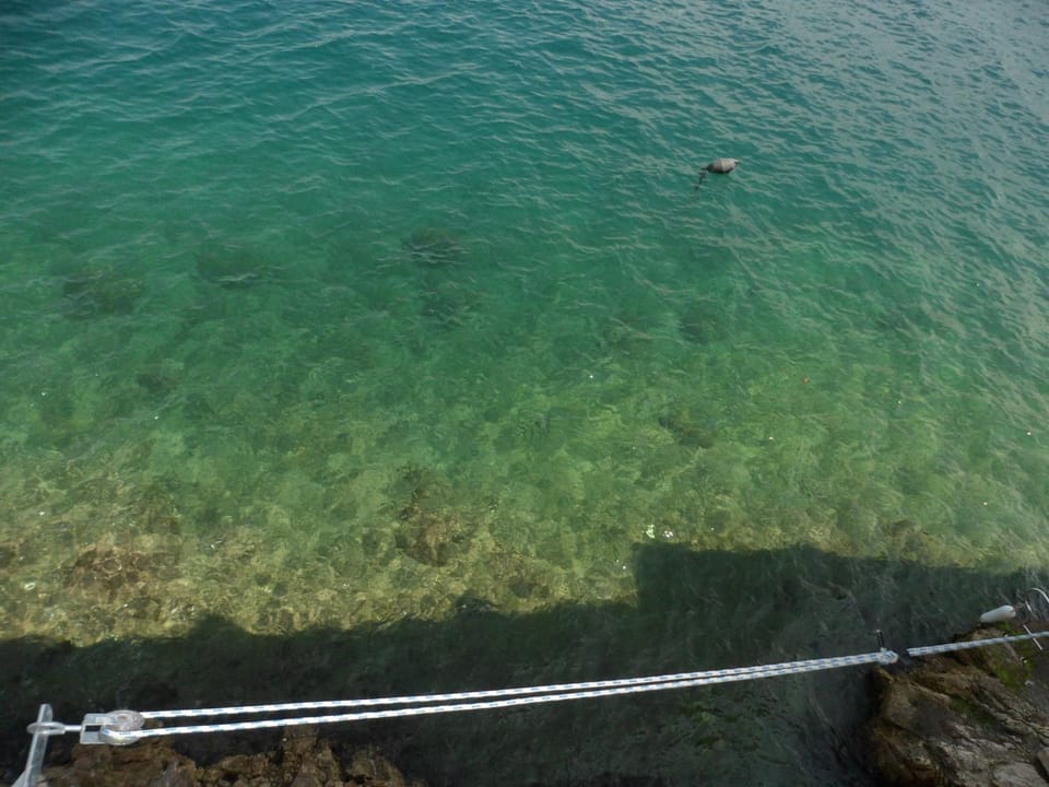Blue Sea View Apartment in Rovinj