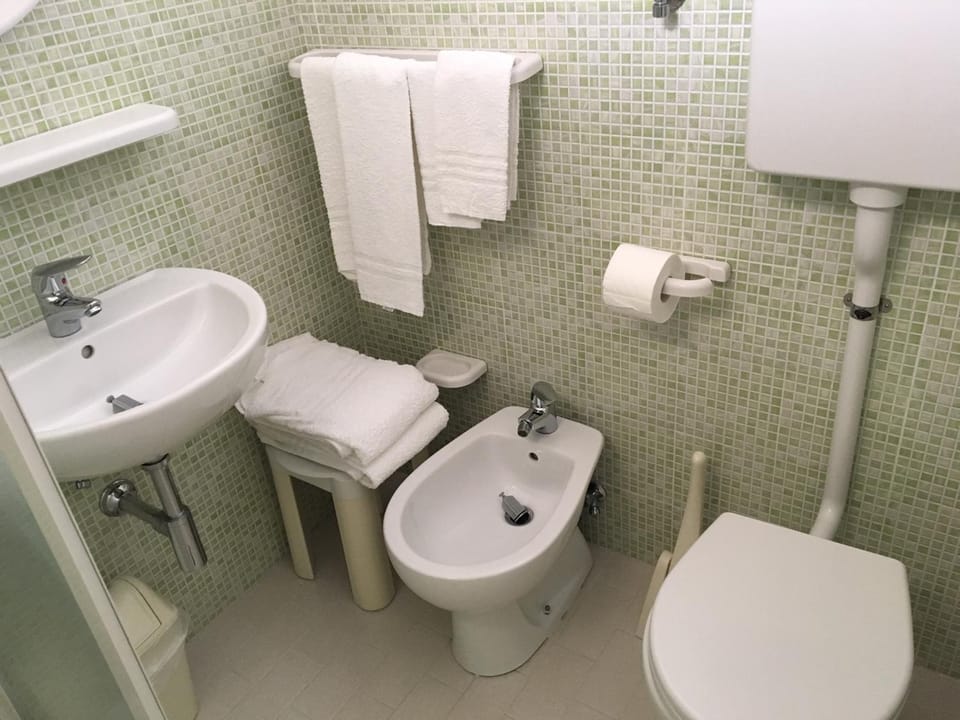 Toilet, Bathroom, bidet, towels