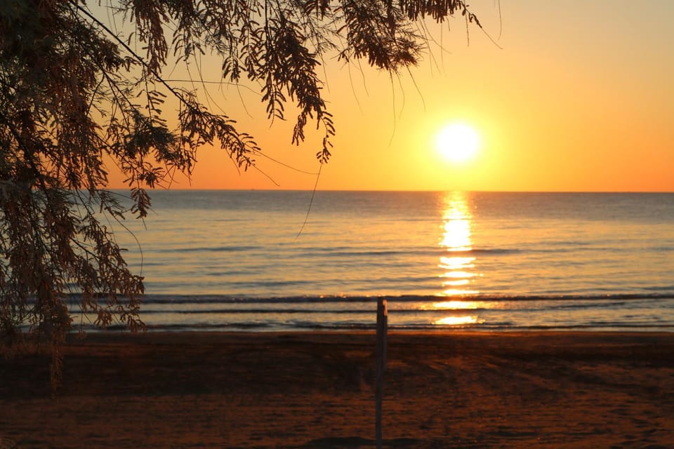 Sunrise