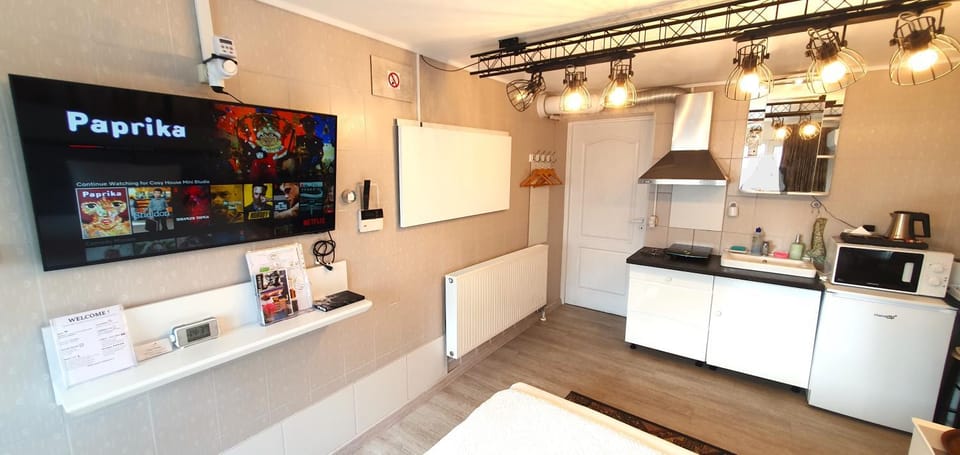 TV and multimedia, Coffee/tea facilities, Kitchen or kitchenette, minibar, stove, toaster
