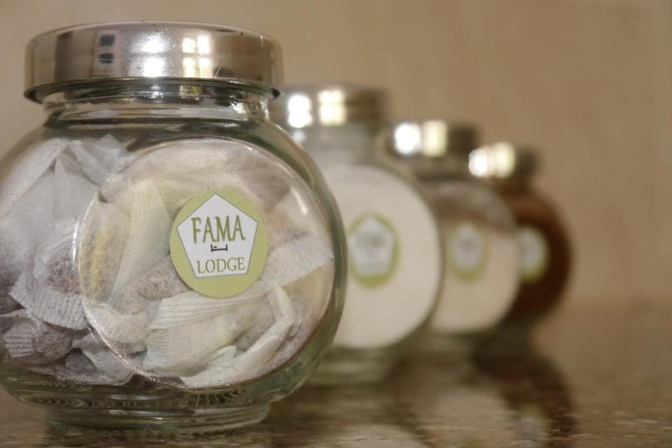Fama Lodge Rm10 Bed and Breakfast in Cape Town