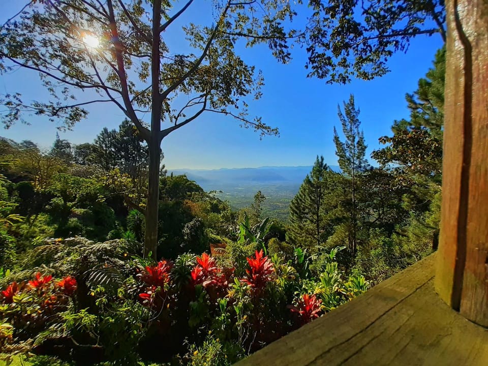 Natural landscape, Hiking, Garden view, Mountain view, River view