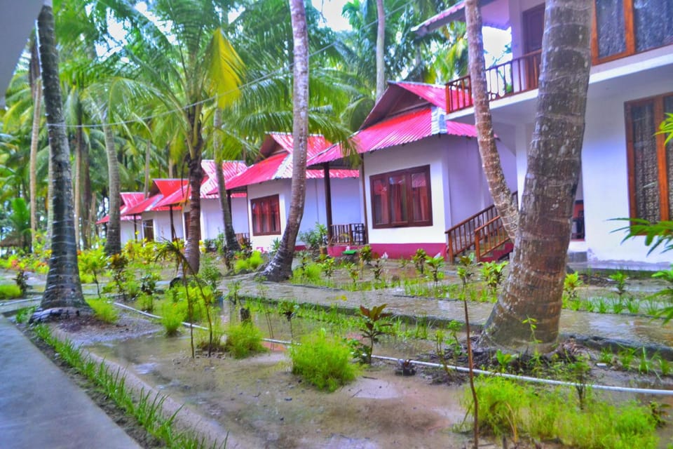 Property building, Garden, Garden view