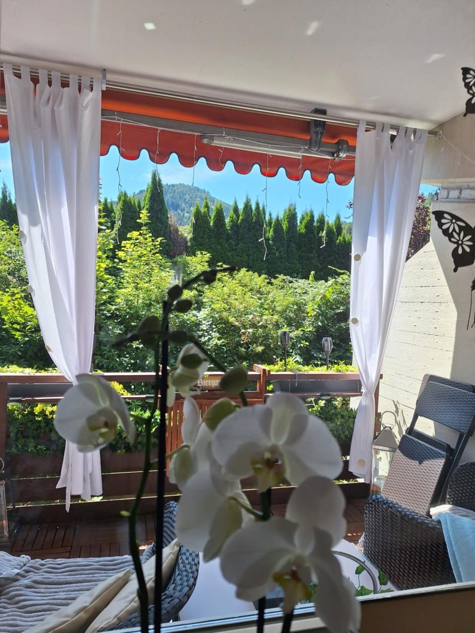 Garden view