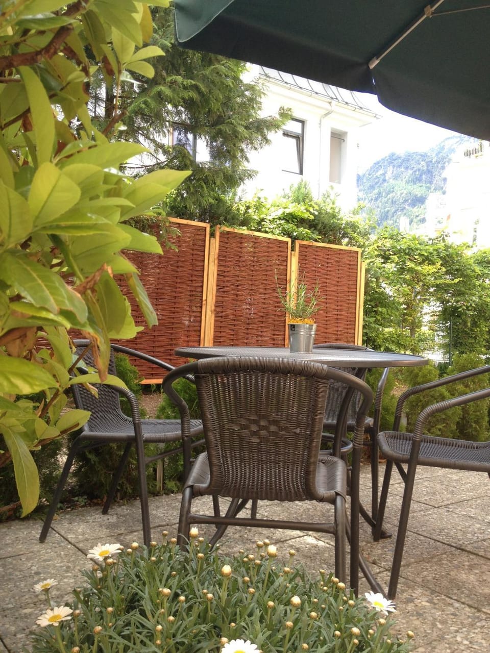 Garden, Garden view