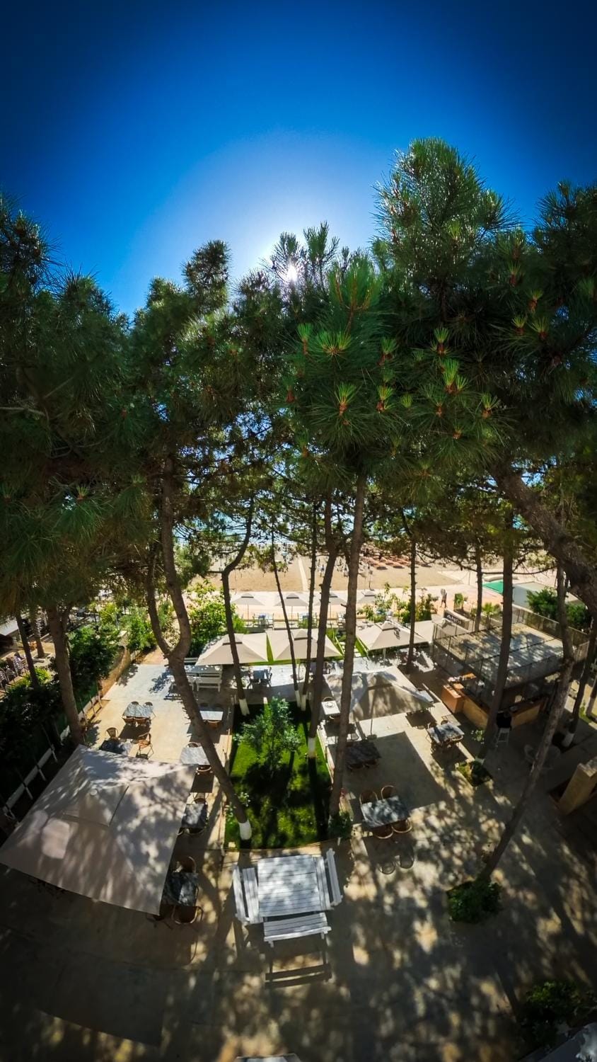 Garden, Garden view