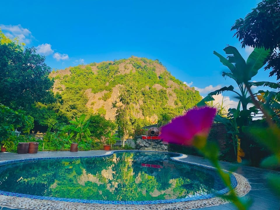 Swimming pool, Swimming pool