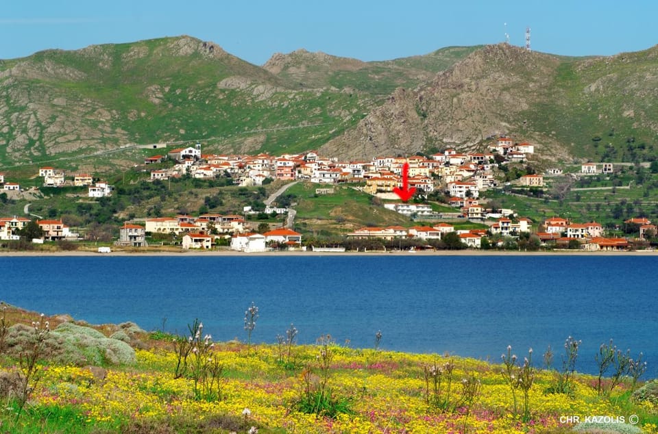 Spring, Off site, Day, Summer