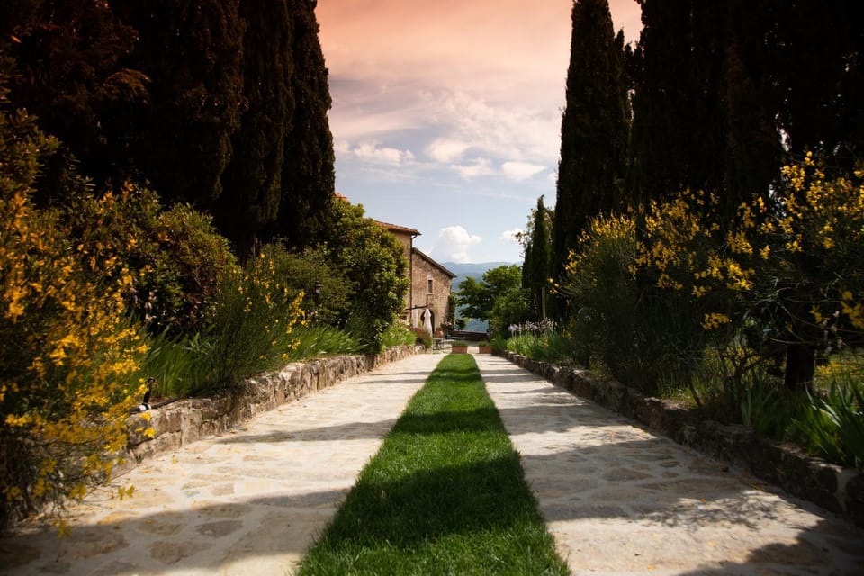 Natural landscape, Garden, Garden view