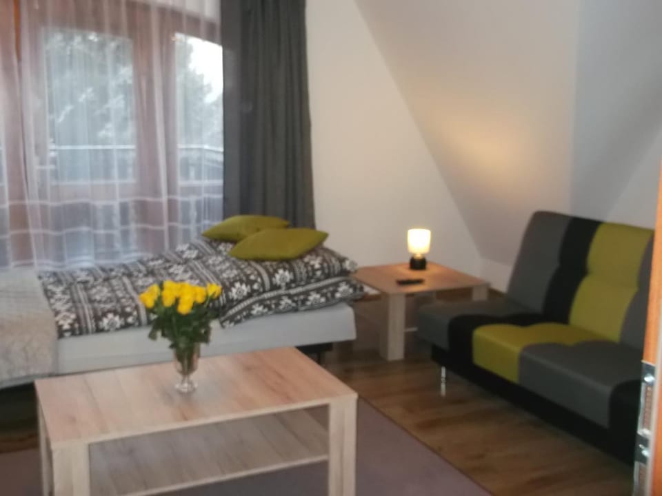 Apartamenty Lejówka Apartment in Lesser Poland Voivodeship