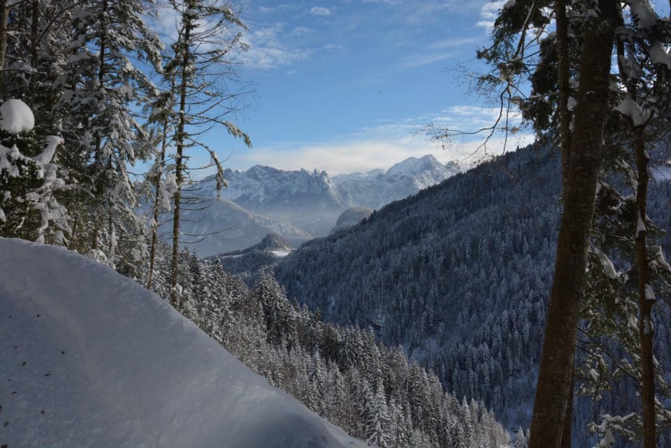 Natural landscape