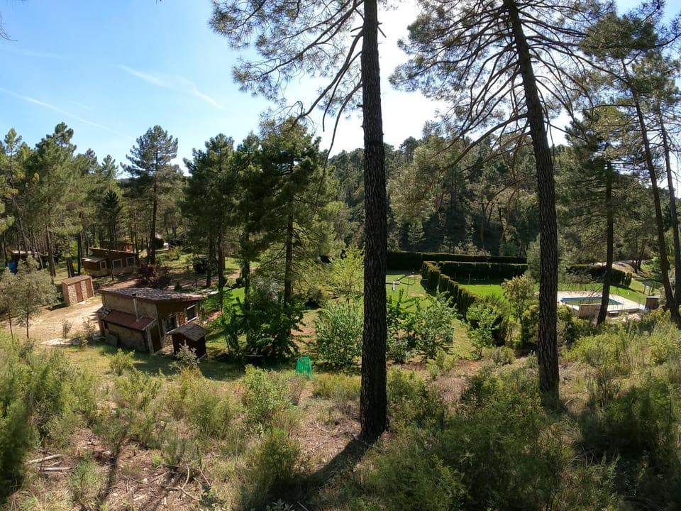Property building, Natural landscape, Swimming pool