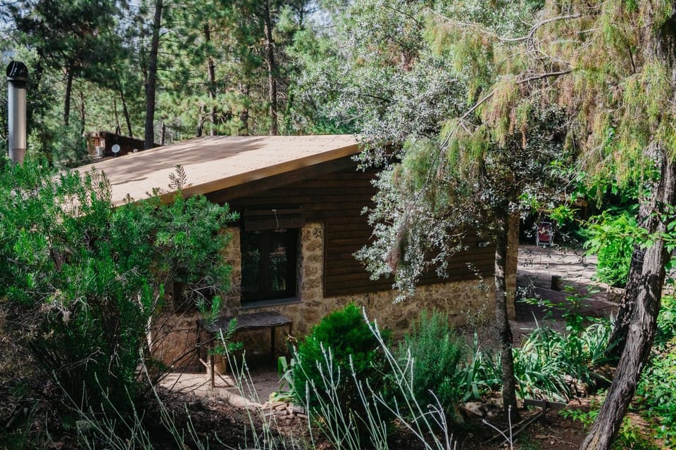Property building, Garden, Garden view