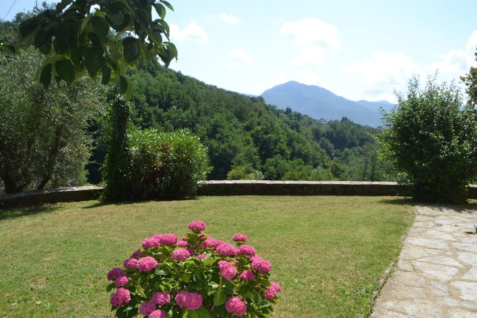 View (from property/room)