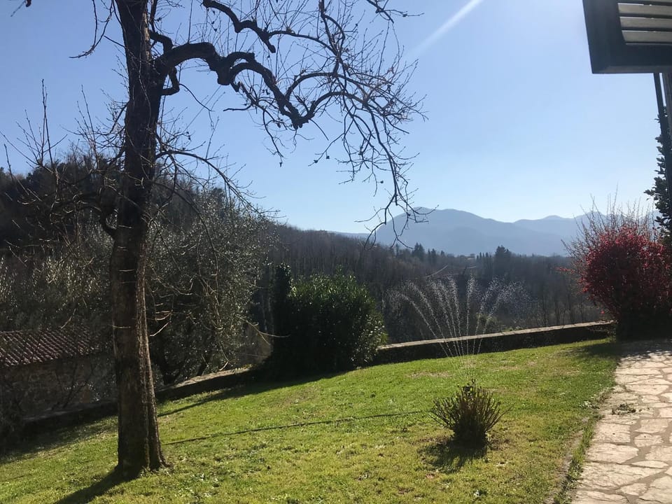Garden, Mountain view